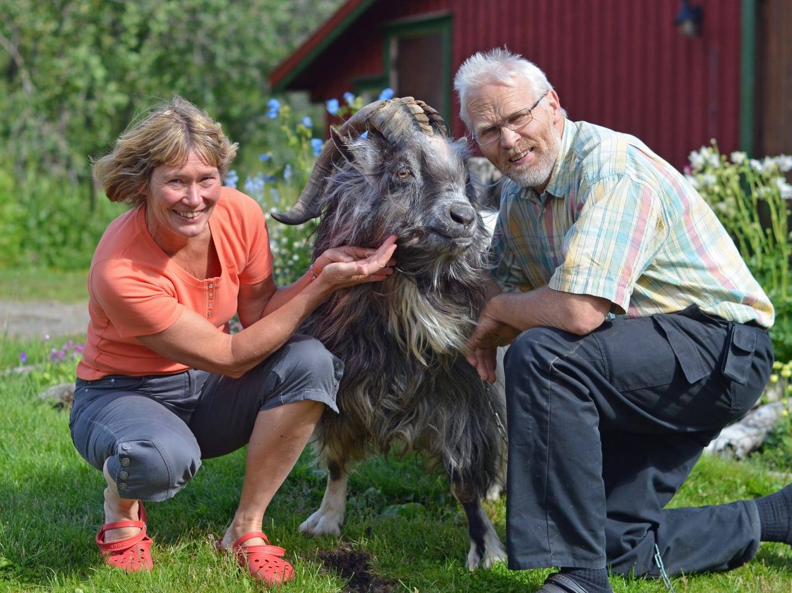 Siri og Knut sitter i gresset sammen med en geit
